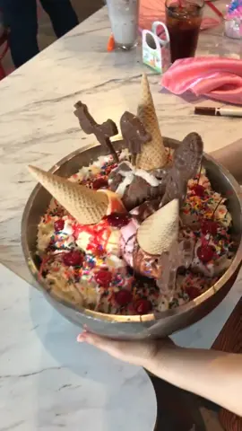 10 pounds of ice cream 😱 #funwithfood #FoodLover #dessert #tiktokpartner