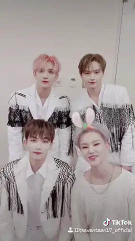 Dear CARAT💎#정한 #조슈아 #준 #호시#세븐틴 #SEVENTEEN