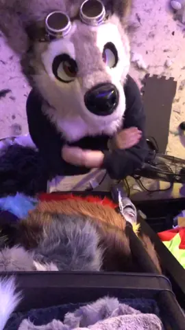 Caption this! #foryourpage #fursuit #furryfandom #fursuiter #handitover #furry #HolidayBeat #OhYEAHChristmas #forthephoto #todaywelearned