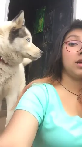 La vdd🙄😒😂#trend #siguemeytesigo #parati #tendencia #foryou #viral #guatemala