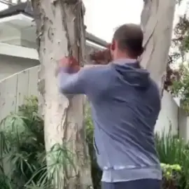 Smashed it! #speed #punch #DailyRoutine #youmade2019 #boxing #treework #tree #workout