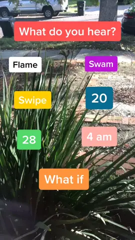 I hear flame or 4am.. what about you? 😂🙈 #foyou #foryoupage #fyp