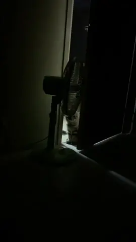 I C