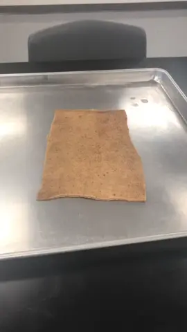 SKIN THICKNESS!! Subscribe to our YouTube for longer videos! #Science #todaywelearned #biology #cool #amazing #anatomy #skincare