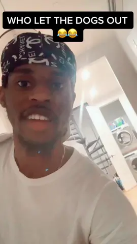 WHEN GANG PULL UP ON YOU 😂😂 #puppy #dog #puppylover #fyp #explore