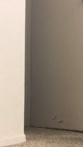 Woag how did the stupid rat do that shit woag