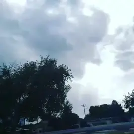 #justforfun #fyp #foryoupage