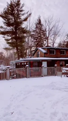 Home for Christmas 🥰🎄✈️❄️ #florida to #newengland 🐻 #winterishere