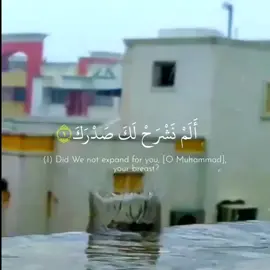 чтение корана#коран #ислам #вера #сура