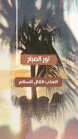 #نور #الصباح #العذب لا قال #السلام #صباح_الخير
