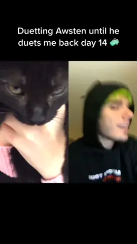 #duet with @awstenmadeatiktokalright awsten accept my cat please #waterparks #awstenknight #foryou #fyp I recorded this on xmas and forgot to post lol