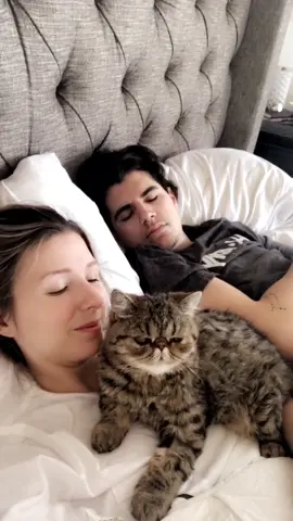 Good morning☺️ @christian #cat #catsoftiktok #foryoupage #foryou
