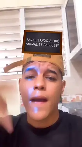 CUAL ANIMAL ME SALE ? 🥵 #destacame #elversanchez #spain #foyoupage #creadorpopular #parati #tiktokchile #mexico #peru #1comedy #comedia