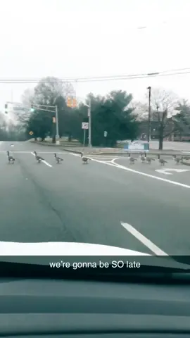 long story short we got to the game at half time #fyp #foryoupage #scienceismagic