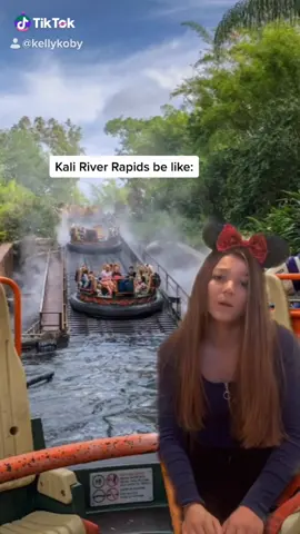 Where my poncho people at 🙋‍♀️ #drivethebus #foryoupage #fyp #disney