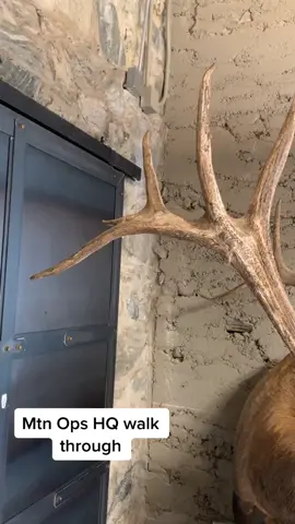 A quick look at some taxidermy at the Mtn Ops HQ #elk #deer #hushlife #taxidermy