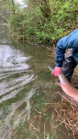 Gotta love the Pacific Northwest #fishing #fishinglife #bass #salmon #trout #steelhead #river #washington #pnw #Outdoors #outdoor #nature #great