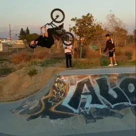 Full send baby #StraightToHell #wellnesstips #bmx #bmxlife #dakridesbikes #fyp #foryoupage #xyzbca