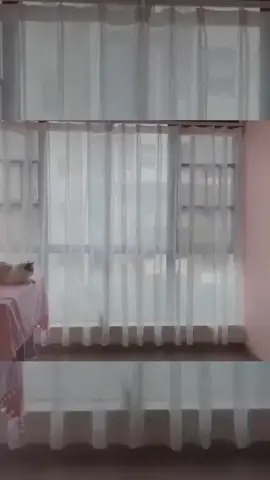 Lạc vào đồng cỏ xanh, thiên thần.... #thichcosplay