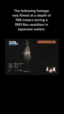 One of the most bizarre sea creatures known to science.      #fyp #foryou #spooky #scary #sea #dark
