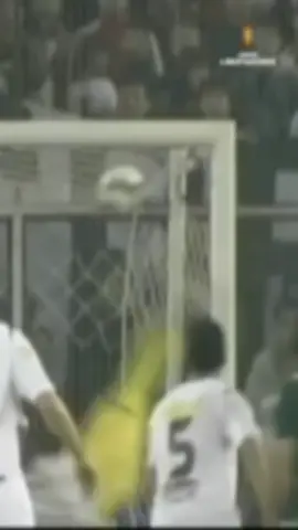 🧤⚽️ #palmeiras #viral #4u #foryou #libertadores #goviral