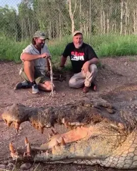 That’s one big beast! 🐊 👀 @jayprehistoricpets #viral #fyp #4u