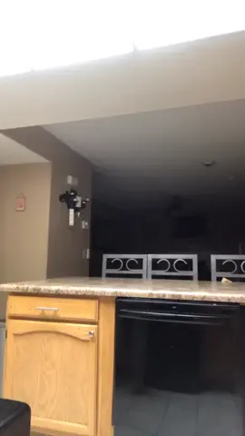🤣🤣🤣🤣