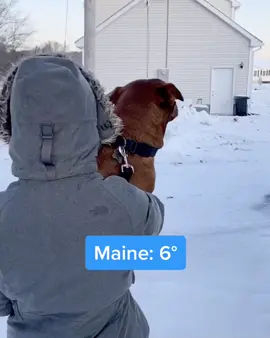 Maine Check #tatumtalks #mainecheck