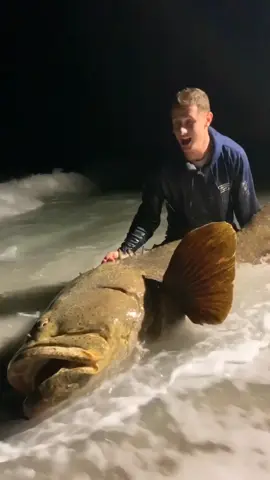 We caught a sea monster! Check out the video on my YouTube channel: Ryan Iz Fishing #fishing #fish #goliathgrouper #busteddream #petpov #foryou #fyp