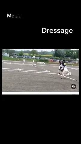 Anyone else relate? 😂  #fyp #foryou #horse #fail #relatable #equestrian