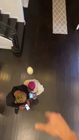 How did the egg bounce??? @chefboybonez @epixemily #foryou #foryoupage #tiktok