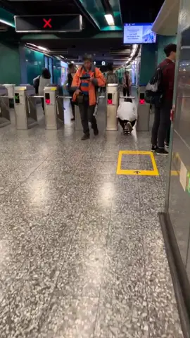 When a skater too broke#hongkong #skate #skateboard #vans #berrics