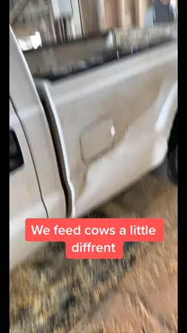 #WhatWouldHarleyDo #wholesomeplottwist #MusicalMindReader #allthedifference #athleisure #foryou #fu #farmin