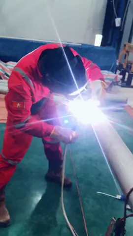 Tết này vẫn giống tết xưa  ,   Cũng ngày 29   Vẫn cày như trâu !! 🥺🥺