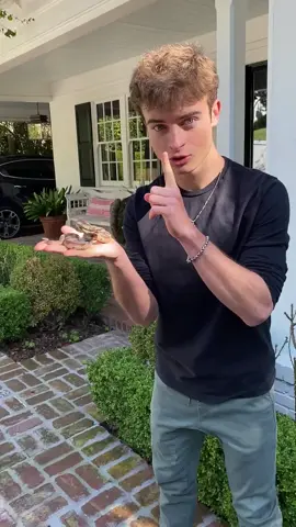 Fake snake PRANK on my stepmom (WATCH TIL THE END) 😂😳 #prank