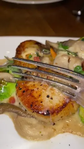 Juicy scallops over truffle bean purée