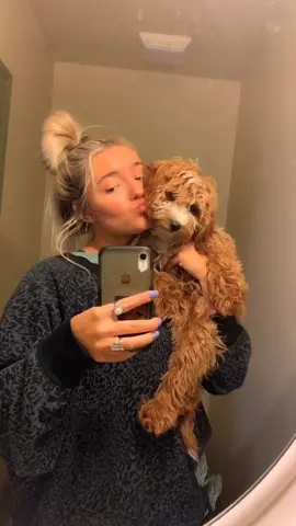 like this if u think my dog is cute HAHAHA