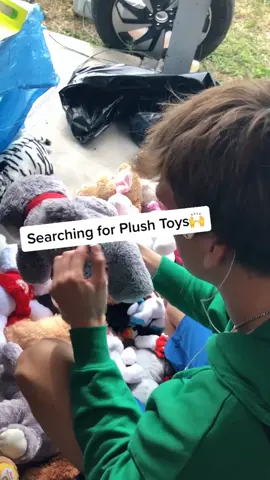 Finding Plushies at the Flea Market🤩 #fleamarket #plushies #stuffedanimals #garyveechallenge #fliplife #nostalgia