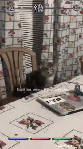 Made a quick skyrim merchant edit once i saw my gfs cat like this lmfao #skyrim #skyrimoc #skyrimmemes #cat  #cats #foryourpage #edit #videoedit