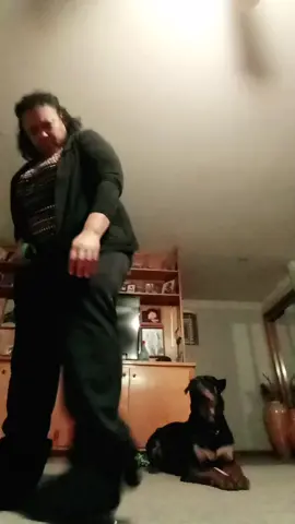 #funny #puppy #whydididothis lol this is funny