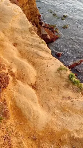 days like these #sunset #cliffs #cali #fyp #california