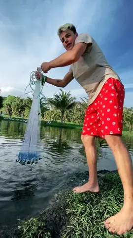 Look how many babies my fish had!🐟 #animals #backyard #foryou #fyp #youtube #castnet #fish