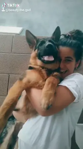 small to big 🥺 #fyp #foryou #dogsoftiktok #PetsOfTikTok