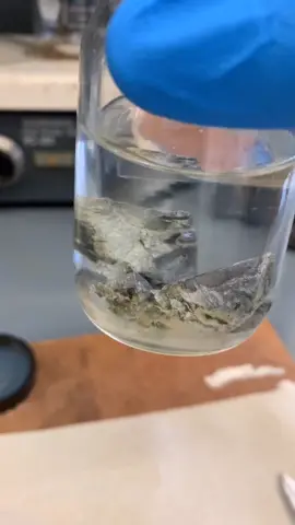 It’s potassium, K? (Take 2) #chemteacherphil #chemistry #scienceismagic #alkaline #elements #fyp