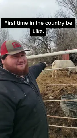 When city Folks are in the country. #foryourpage  #comdey #country #funny