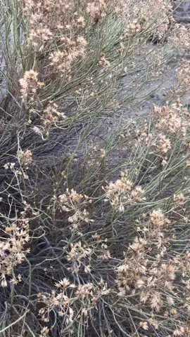 #hardwork #fyp #photographer #foryoupge