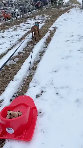 First lesson went well, after a while. #tatumtalks