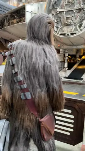 Chewbacca de 'Star Wars' na Disney