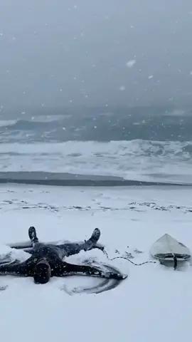 Snow surfing anyone? ❄️🏄🏽‍♂️ 🇯🇵 🎥: Chris Burkard #surf #wsl #japan #foryou #fyp