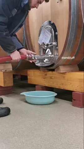 So wird ein Fass geleert 💁🏽‍♂️🍷 #wein #wine #winery #weingut #deutsch #germany #foryou #fy #vino